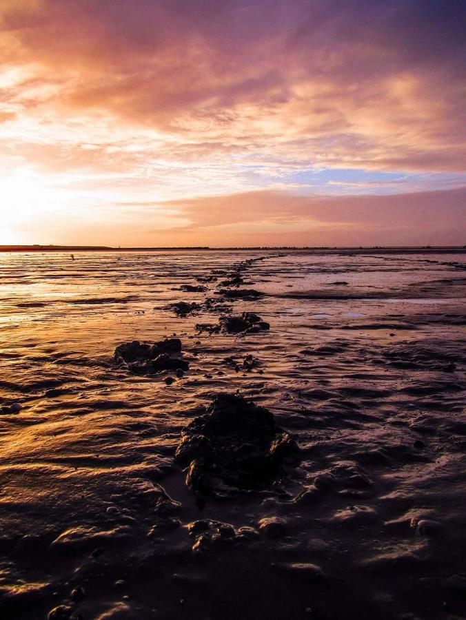 Paesens Vissershuisje Aan De Waddenzee מראה חיצוני תמונה